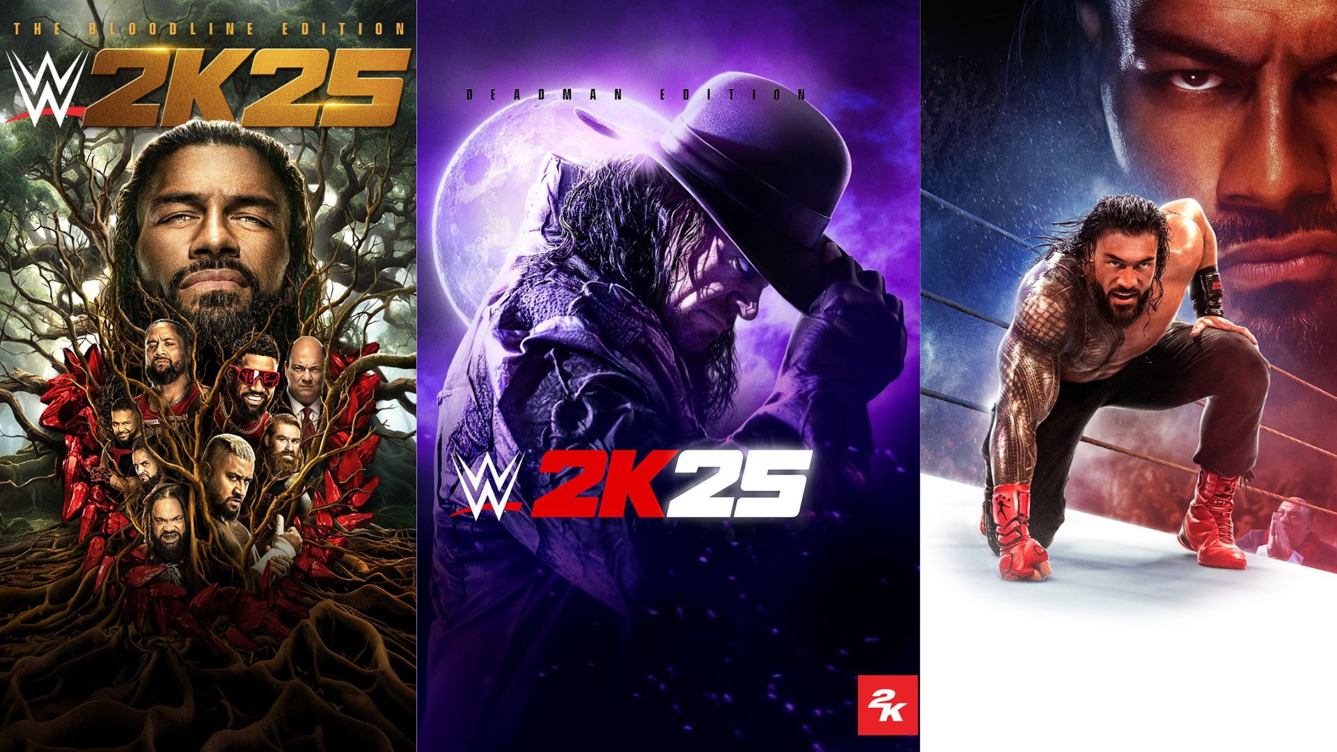 WWE 2K25 video game cover starring The Undertake, The Bloodline, Roman Reigns holding the WWE Championship